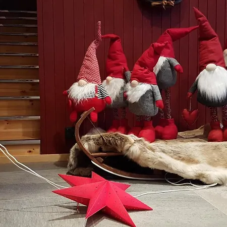 塞塔酒店 Äkäslompolo