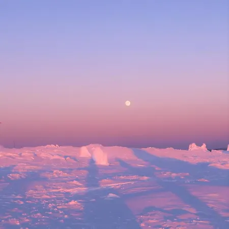 酒店 塞塔酒店 3*
