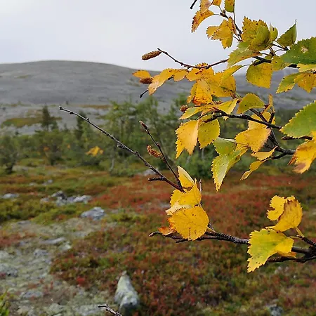 塞塔酒店 酒店 3*